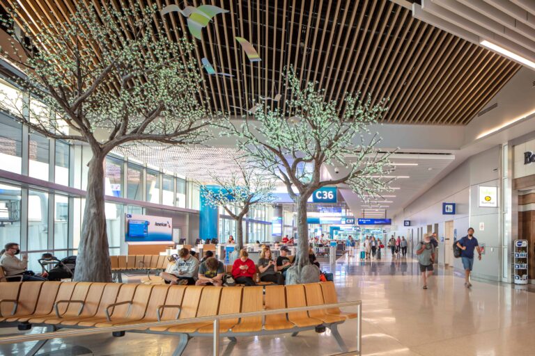 American Airlines DFW High C Gates